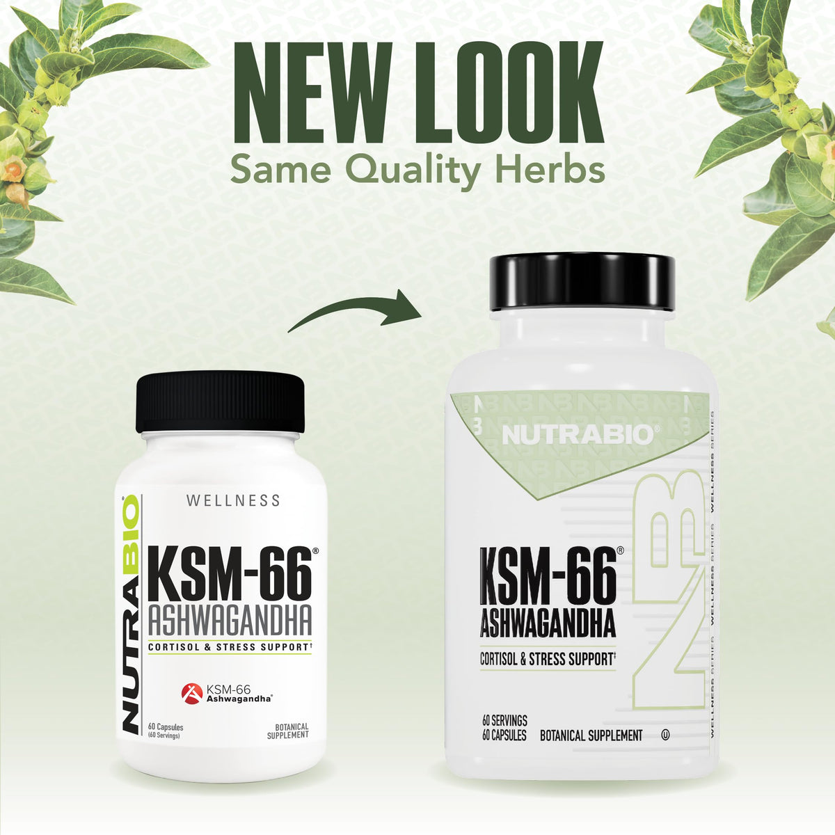 NutraBio Ashwagandha KSM-66 | Ashwagandha Herbal Supplement for Stress, Mood, & Performance | 600 MG of Clinically Studied KSM66 60 Capsules NutraBioBuy Supplements Australia