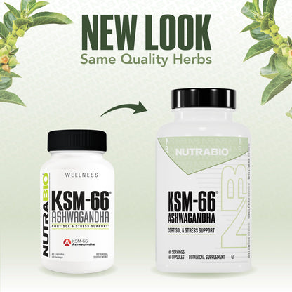 NutraBio Ashwagandha KSM-66 | Ashwagandha Herbal Supplement for Stress, Mood, & Performance | 600 MG of Clinically Studied KSM66 60 Capsules NutraBioBuy Supplements Australia
