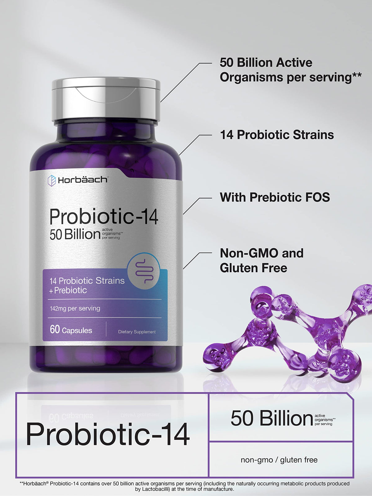 Horbäach Probiotics with Prebiotics | 60 Capsules | 50 Billion Active Organisms | Non-GMO HorbäachBuy Supplements Australia