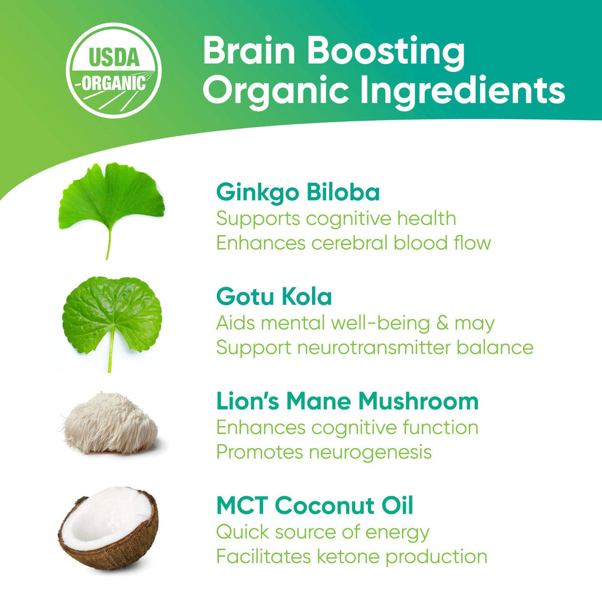 Brain Tea Focus & Memory - Brain Tea Organic Certified 4-in-1 Nootropic Herbal Supplement with Ginkgo Biloba, Gotu Kola, Lion’s Mane Mushroom, MCT Caffeine-Free for Mental Clarity (30 Sachets) Brain TeaBuy Supplements Australia