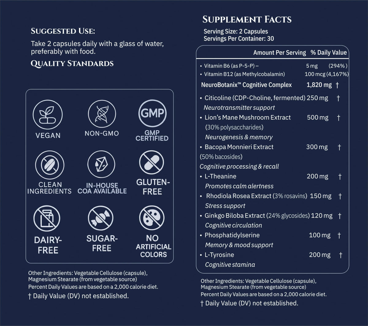 Xenivra Synaptix™ Natural Nootropic Brain Supplement | Herbal Memory & Focus Pills with Citicoline, L-Theanine, Lion’s Mane, Bacopa & Rhodiola | Mental Clarity & Brain Fog Support | 60 Vegan Capsules XENIVRA NATURE, AMPLIFIED BY SCIENCEBuy Supplements Australia