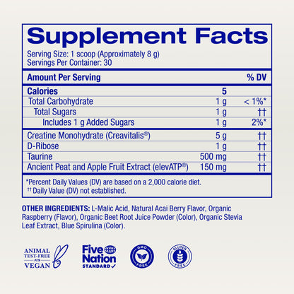 Ora Organic Creatine Monohydrate Powder - German-Sourced Creavitalis for Strength, elevATP for Energy, D-Ribose & Taurine for Recovery - Creatine for Women & Men - Acai Berry Flavor, 30 Servings Ora OrganicBuy Supplements Australia
