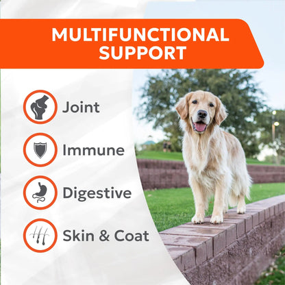 Nutramax Cosequin Joint Health Supplement with Multifunctional Support for Dogs, Soft Chews with Glucosamine, Chondroitin, Omega-3s, and Postbiotics, 90 Count Nutramax LaboratoriesBuy Supplements Australia
