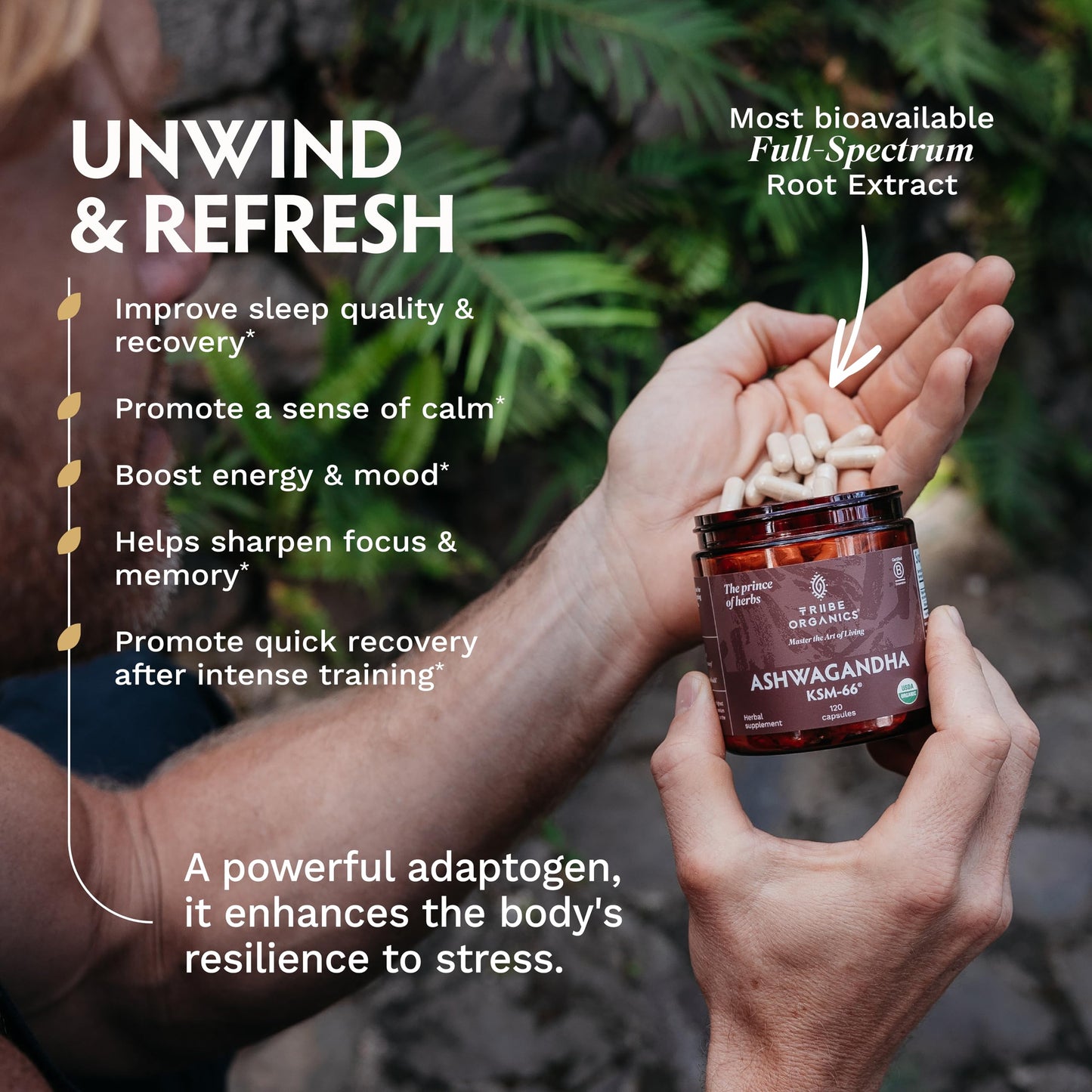 TRIBE ORGANICS Ashwagandha KSM 66 Pure Organic Root Powder Extract Ayurvedic Supplement - Focus, Mood Support, Increase Energy, Strength, 600mg of Natural KSM66 for Superior Absorption - 120 Capsules TRIBE ORGANICSBuy Supplements Australia