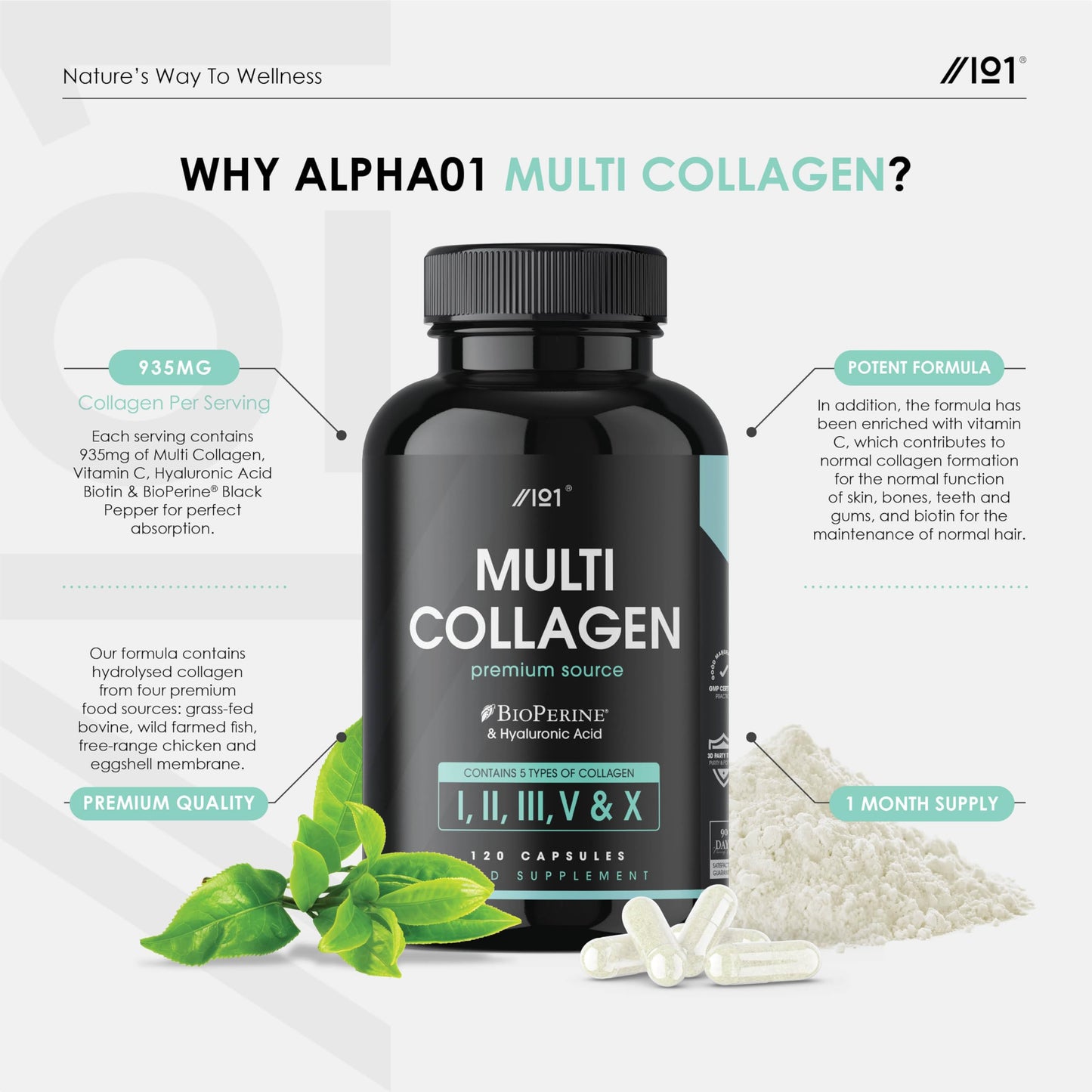 Multi Collagen Capsules - 120 Capsules - Types I, II, III, V & X - Wild Caught Fish, Grass Fed Bovine, Eggshell Revive NaturalsBuy Supplements Australia