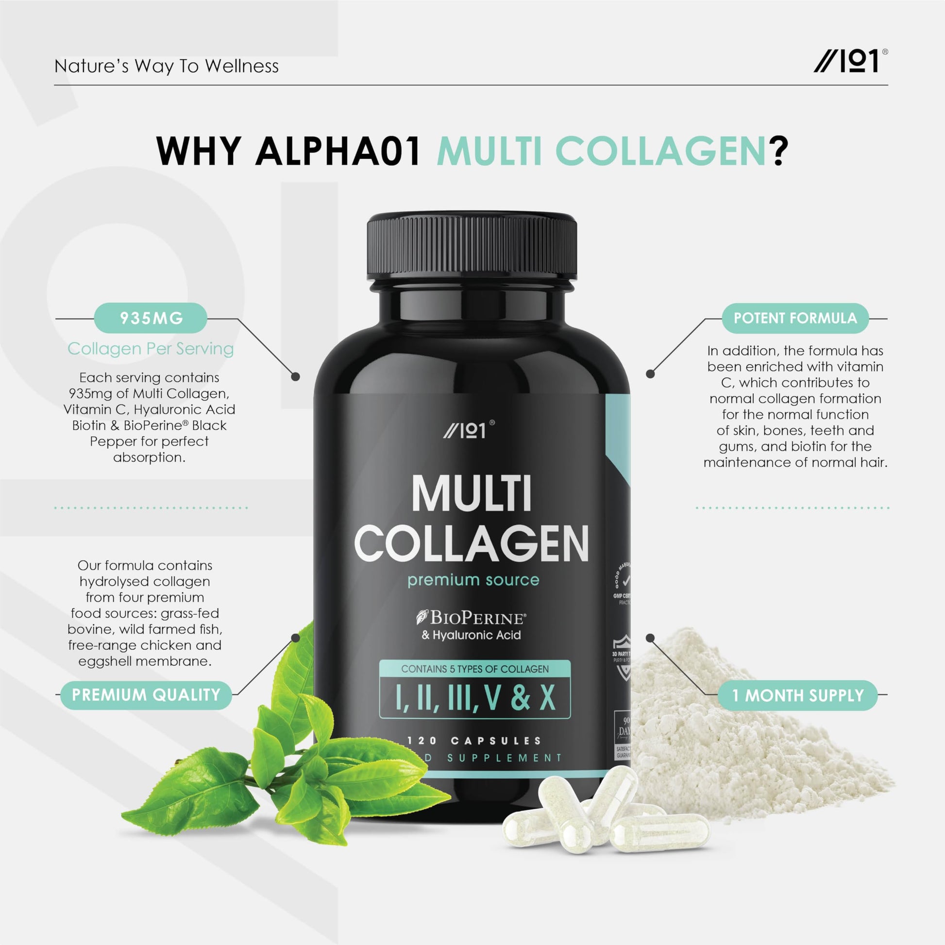 Multi Collagen Capsules - 120 Capsules - Types I, II, III, V & X - Wild Caught Fish, Grass Fed Bovine, Eggshell Revive NaturalsBuy Supplements Australia