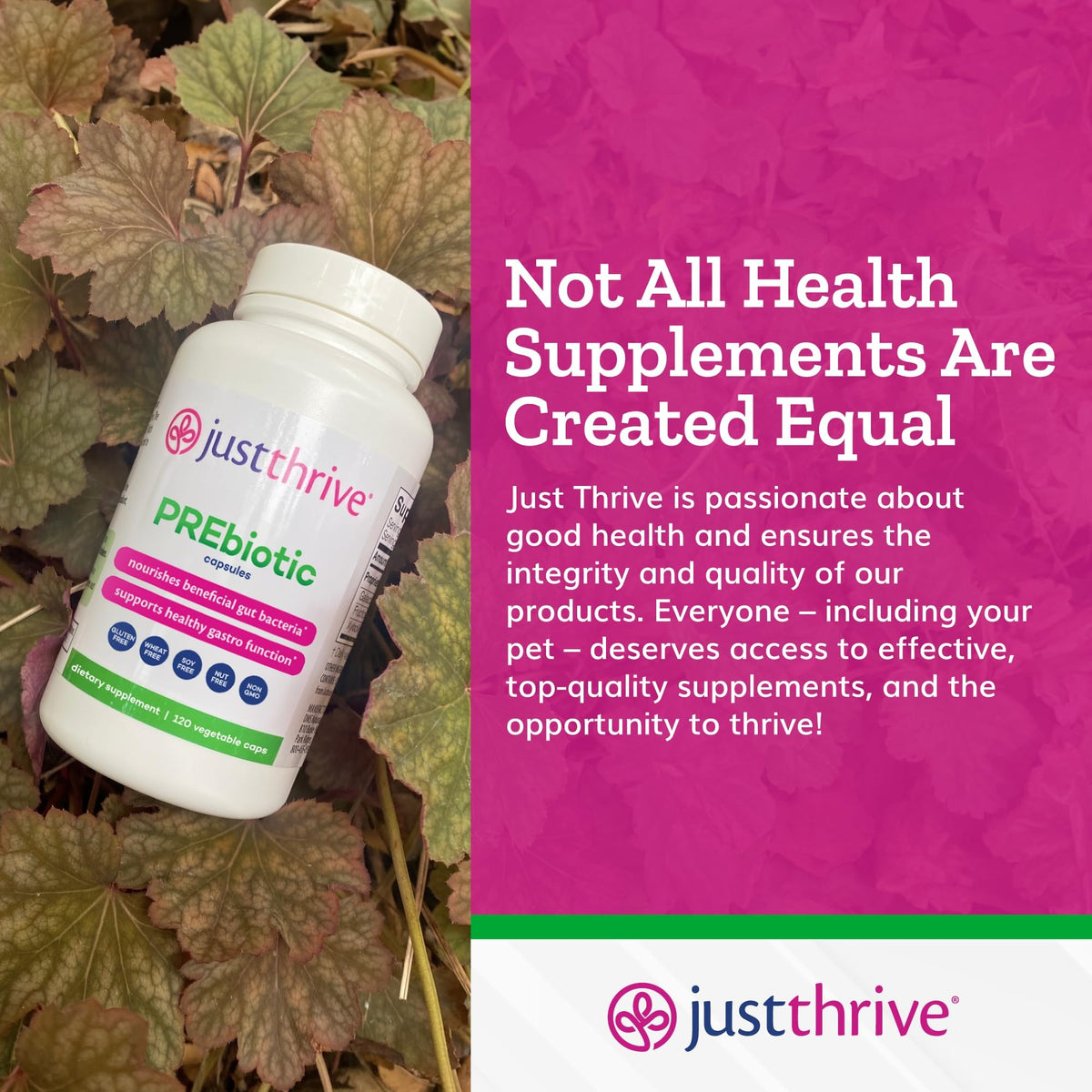 Just Thrive PREbiotic Capsules - Prebiotic Blend for Gut Health and Immune Support, 120 Caps Just ThriveBuy Supplements Australia
