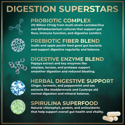 Digestive Enzymes for Women and Men with Probiotics and Prebiotics - Vegan Digestive Enzyme Blend - Bloating Support, Gut Health & Digestion Supplement with Artichoke Ginger Turmeric - 180 Capsules WILD FUELBuy Supplements Australia