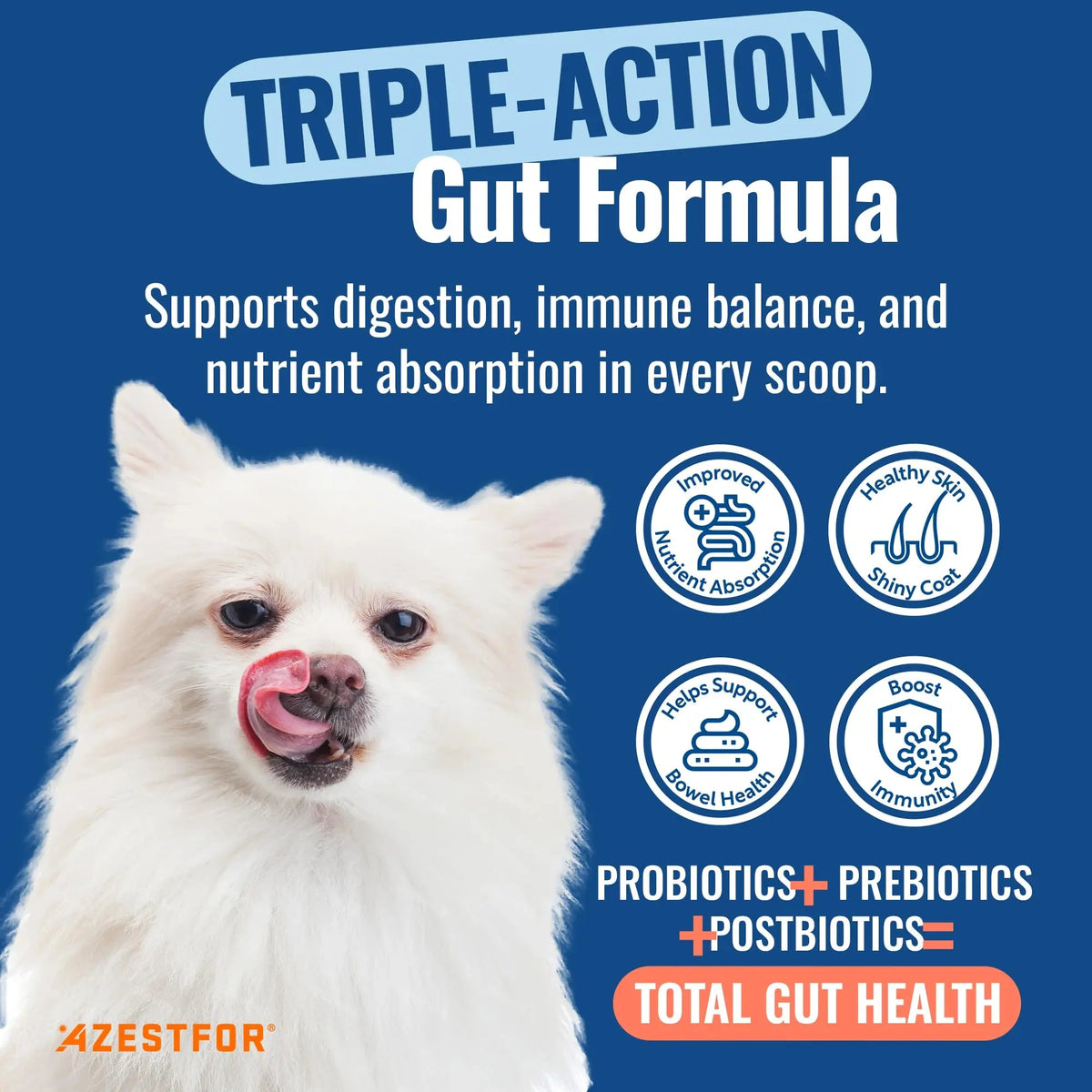 Azestfor Gut Health Supplement for Dogs – 3 in 1 Probiotic, Prebiotic & Postbiotic Blend – Supports Digestion, Immunity & Skin – Easy-to-Use Powder – for All Breeds & Sizes – 60g (30 Servings) AzestforBuy Supplements Australia