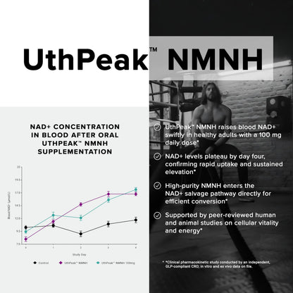 Toniiq NMNH Supplement – Ultra High Potency 1,000mg Complex with Clinically Studied Uthpeak™ NMNH, Resveratrol, Quercetin & TMG – Highly Purified – Third-Party Lab Tested – 60 Capsules ToniiqBuy Supplements Australia