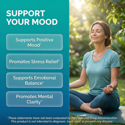 Clean Nutraceuticals St Johns Wort Rhodiola Rosea Holy Basil Ashwagandha - Mood Support for Women and Men with Vitamin C & Black Pepper Extract - 90 Caps Clean Nutraceuticals buy supplements Au