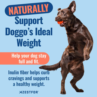 Azestfor Gut Health Supplement for Dogs – 3 in 1 Probiotic, Prebiotic & Postbiotic Blend – Supports Digestion, Immunity & Skin – Easy-to-Use Powder – for All Breeds & Sizes – 60g (30 Servings) AzestforBuy Supplements Australia