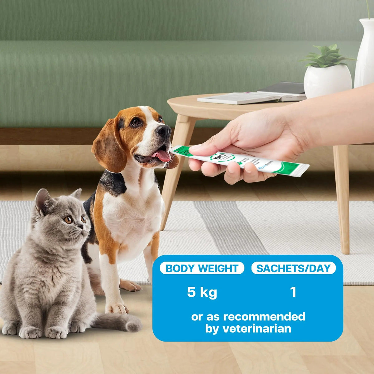 VFcare BIO Supplement for Cats & Dogs – Anti Diarrhea for Dogs, Gut Health Paste with Postbiotics, Prebiotics, FOS, L-137, Yeast Extract – Anti Diarrhea for Dogs, 30 Sachets VFCAREBuy Supplements Australia