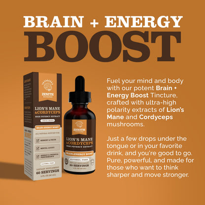 Zenith Nootropics Lion’s Mane & Cordyceps Supplement – Brain & Energy Support – Focus, Memory, Clarity, Immunity – Vegan, Alcohol-Free Tincture – Up-to 2-Month Supply, 2 fl oz Zenith NootropicsBuy Supplements Australia