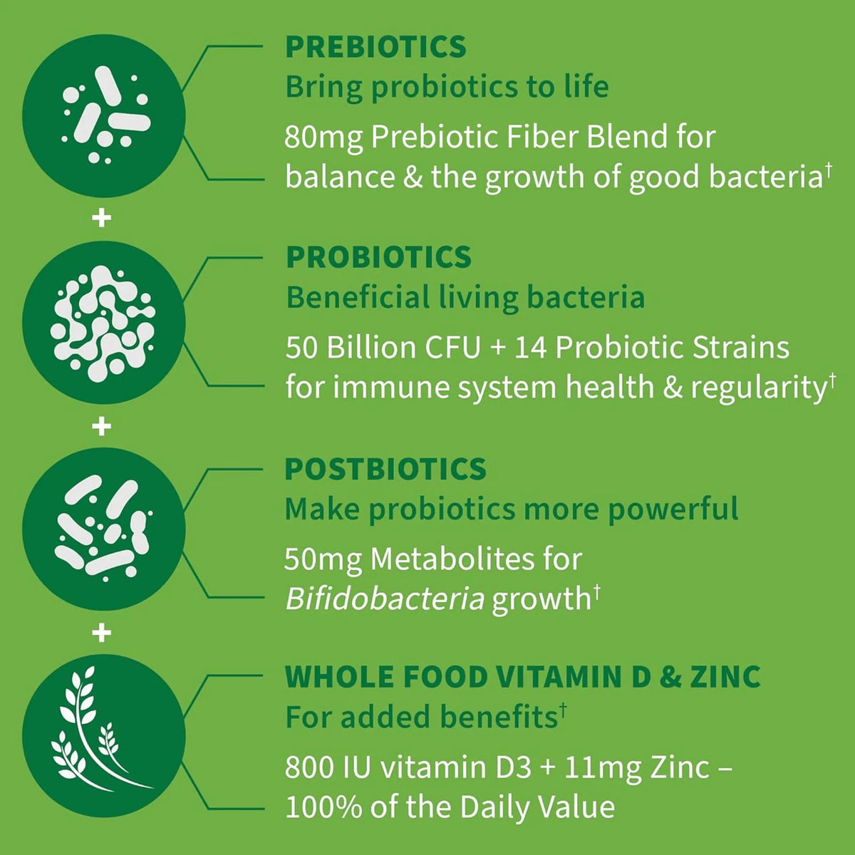 Garden of Life Dr. Formulated Pre, Post & Probiotics Immune Support with Prebiotics & Postbiotics – 50 Billion CFU, Gut & Digestive Health Support, Zinc & Vitamin D3, Vegan, 30 Day Supply Garden of LifeBuy Supplements Australia