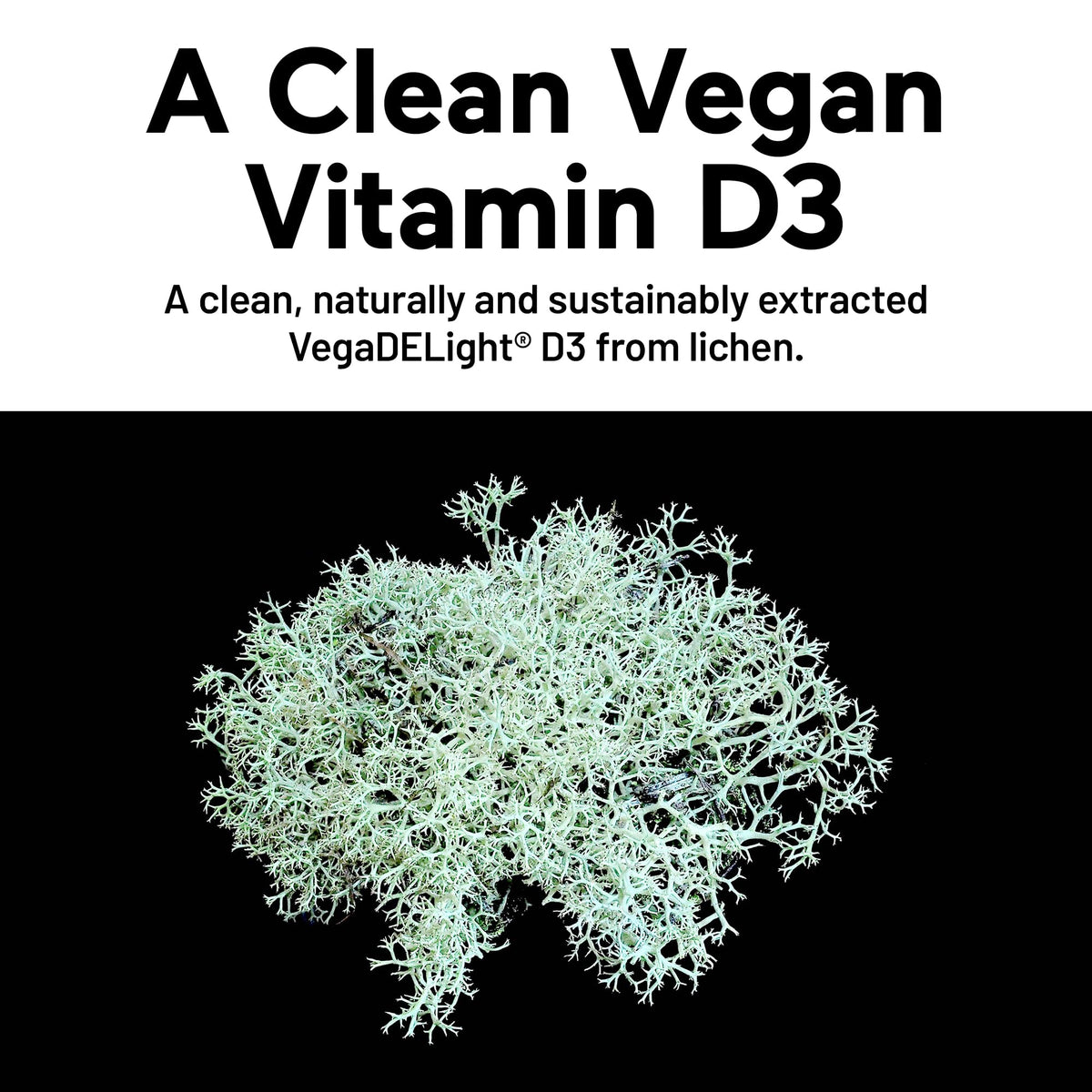 SMARTERNUTRITION Vegan Vitamin D3 5000 IU + Natural Vitamin K2 1100 mcg in Organic Coconut & Olive Oil - D3 K2 Supplement for Immune & Bone Support