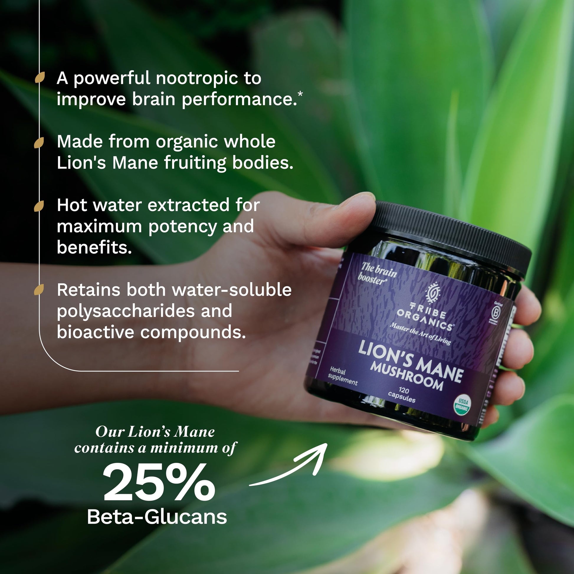 TRIBE ORGANICS Lion’s Mane Supplement 1000mg Mushroom Extract Powder - Immune System Booster & Brain Nootropic for Focus and Memory | Mental Clarity | Natural Energy and Immunity - 120 Vegan Capsules TRIBE ORGANICSBuy Supplements Australia