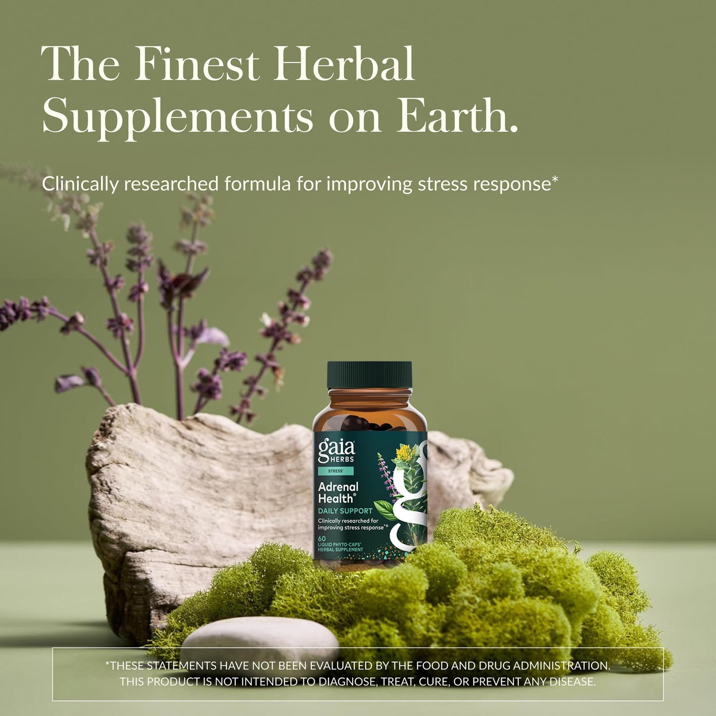 Gaia Herbs Adrenal Health Daily Support - Herbal Supplement with Ashwagandha, Holy Basil & Schisandra - Help Maintain Healthy Energy & Stress Levels* - 60 Vegan Liquid Phyto-Caps (30 Servings) Gaia HerbsBuy Supplements Australia