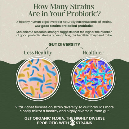 Vital Planet - Organic Flora Probiotics for Gut Health Balance, Shelf Stable Probiotic 30 Billion CFU, 60 Diverse Strains, Prebiotic Organic Mushroom Blend