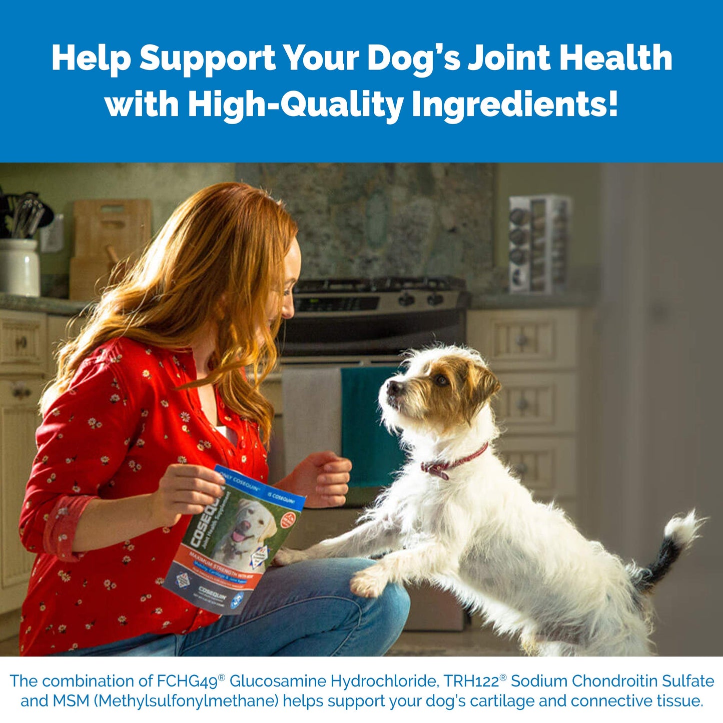 Nutramax Laboratories Cosequin Maximum Strength Joint Health Supplement for Dogs Nutramax LaboratoriesBuy Supplements Australia