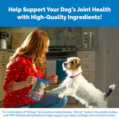 Nutramax Laboratories Cosequin Maximum Strength Joint Health Supplement for Dogs Nutramax LaboratoriesBuy Supplements Australia