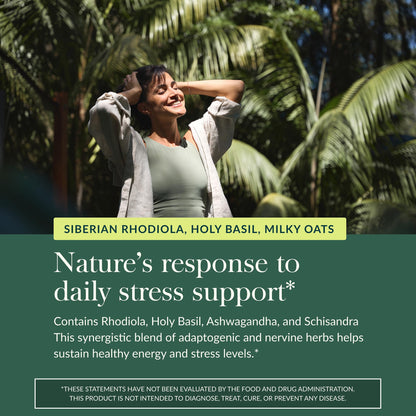 Gaia Herbs Adrenal Health Daily Support - Herbal Supplement with Ashwagandha, Holy Basil & Schisandra - Help Maintain Healthy Energy & Stress Levels* - 60 Vegan Liquid Phyto-Caps (30 Servings) Gaia HerbsBuy Supplements Australia
