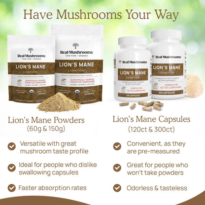 Real Mushrooms Lion’s Mane Powder - Organic Lions Mane Mushroom Extract Real MushroomsBuy Supplements Australia