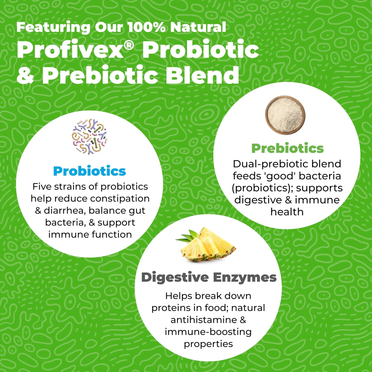 Vetnique Glandex Daily Probiotics for Dogs with Prebiotics to Support Gut Health with Fiber and Digestive Enzymes, Dog Probiotic Chews or Powders (30ct Chews, Bacon Chews) VetniqueBuy Supplements Australia