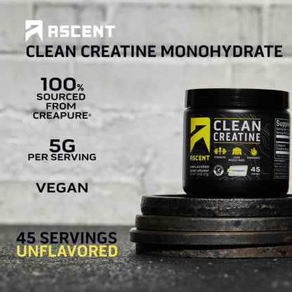 Ascent Clean Creatine Monohydrate Powder - 5G Per Serving, Creapure Creatine Supple AscentBuy Supplements Australia
