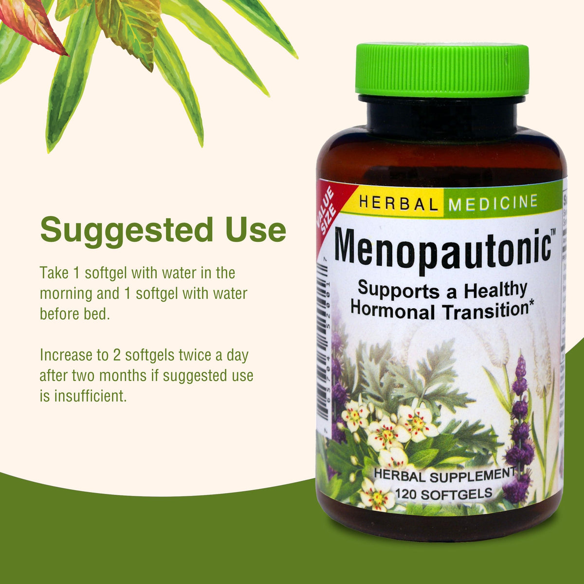 Herbs Etc. Menopautonic Softgels - Essential Supplement for Women - Hormonal Transition Support Supplement - Offers Menopausal Support with Dong Quai & Motherwort - 120 Softgels (120 Servings) Herbs Etc.Buy Supplements Australia