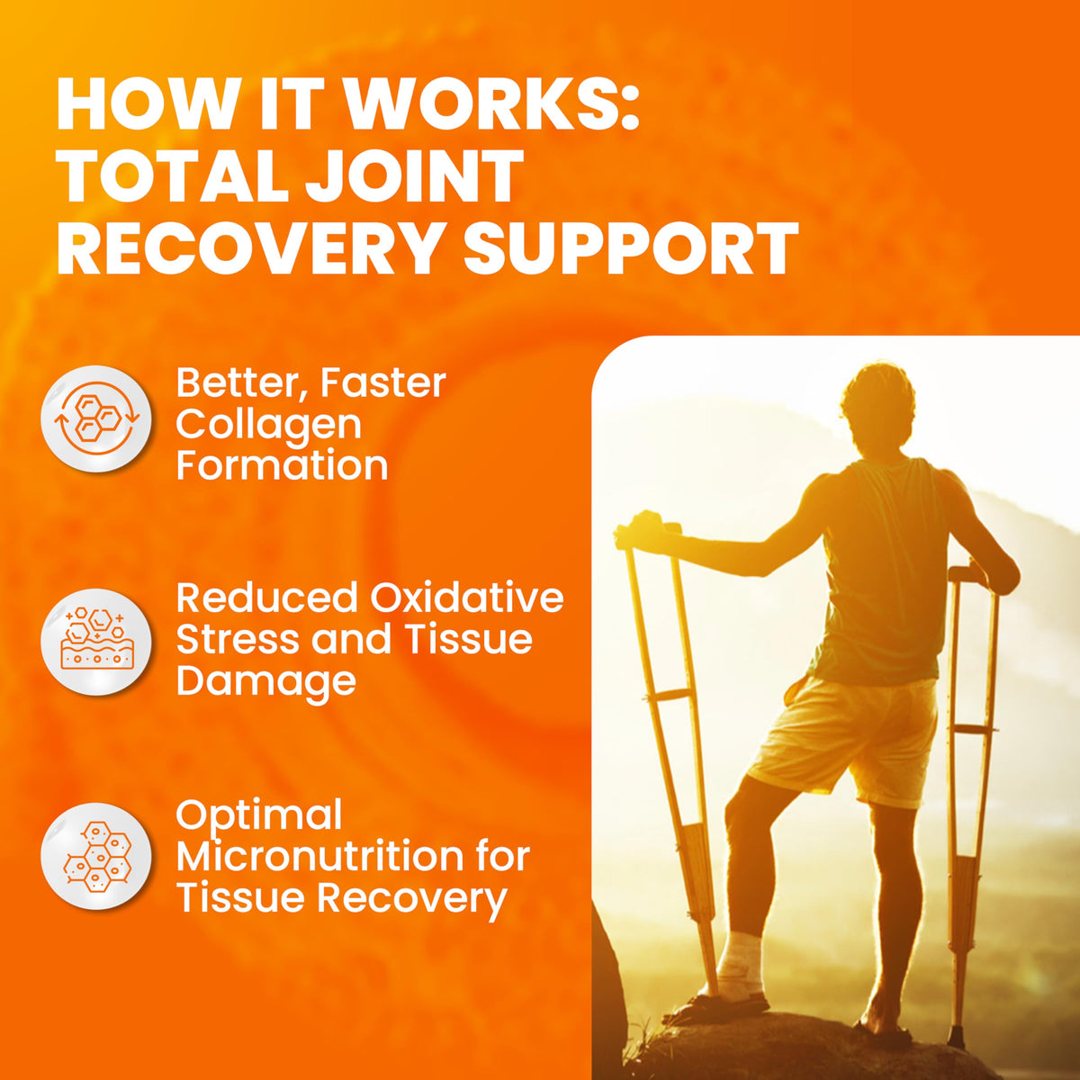 SaltWrap Joint Clinic - Multivitamin for Joint Health and Recovery - with Type II Collagen, C3 Turmeric, Cissus, and Hyaluronic Acid - 224 Capsules SaltWrapBuy Supplements Australia