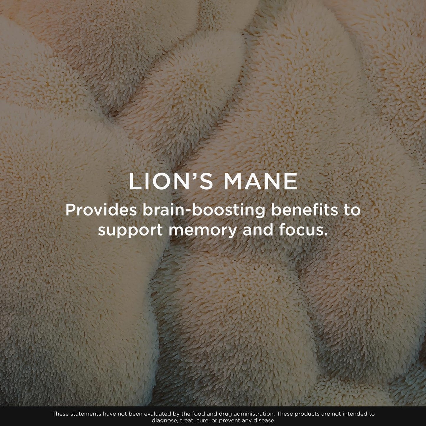 The Genius Brand Genius Lion's Mane - Plant-Based Supplement for Memory, Focus & Mood Support - Organic & Non-GMO - 120 Veggie Capsules The Genius BrandBuy Supplements Australia
