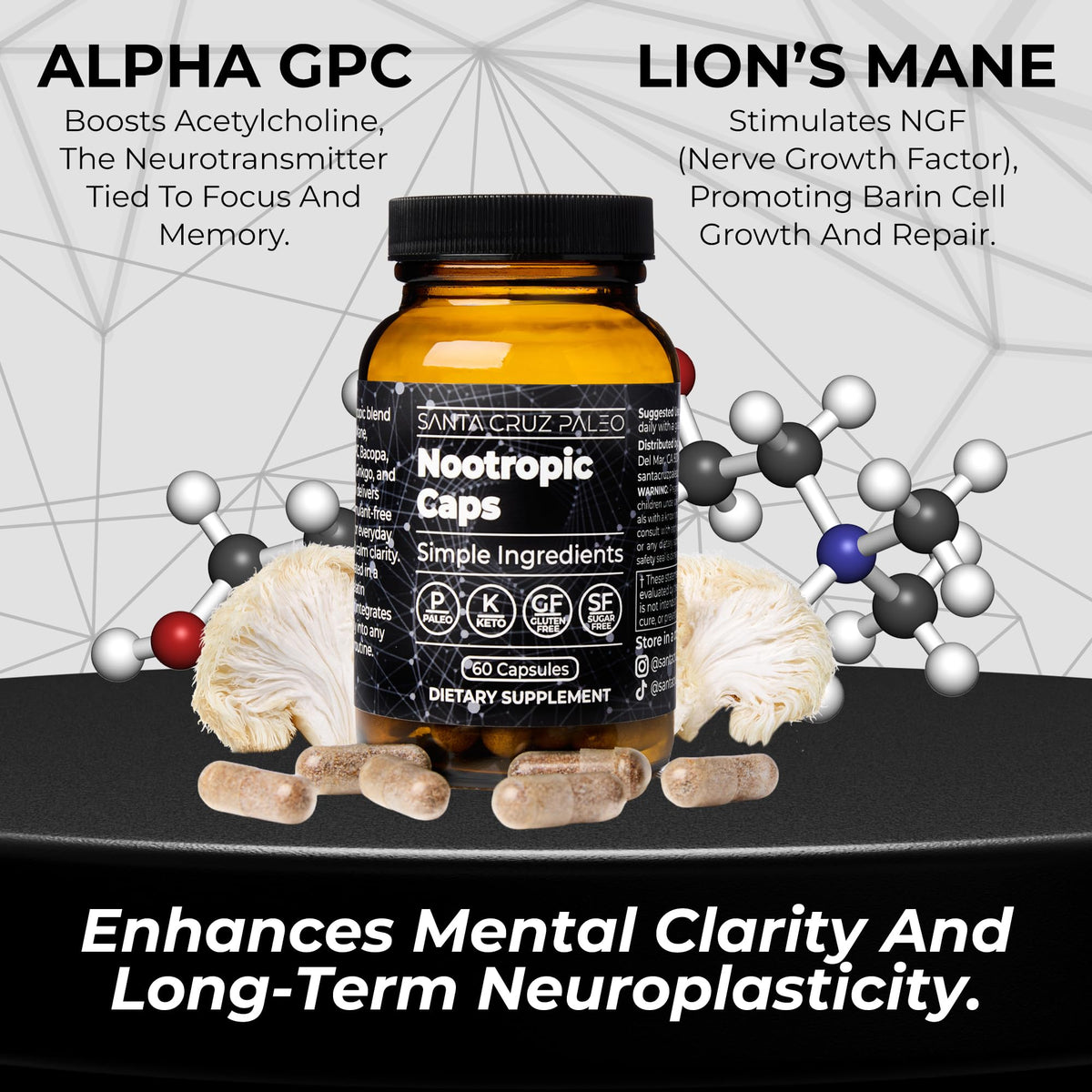 Santa Cruz Paleo Nootropic Capsules – Lions Mane, Alpha GPC, Panax Ginseng & Ginkgo Biloba for Focus, Memory, Mental Clarity & Energy – Keto, Paleo, Gluten Free Brain Supplement, 60 Caps Santa Cruz PaleoBuy Supplements Australia