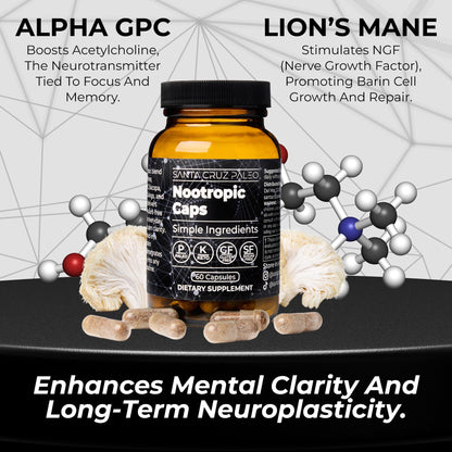 Santa Cruz Paleo Nootropic Capsules – Lions Mane, Alpha GPC, Panax Ginseng & Ginkgo Biloba for Focus, Memory, Mental Clarity & Energy – Keto, Paleo, Gluten Free Brain Supplement, 60 Caps Santa Cruz PaleoBuy Supplements Australia