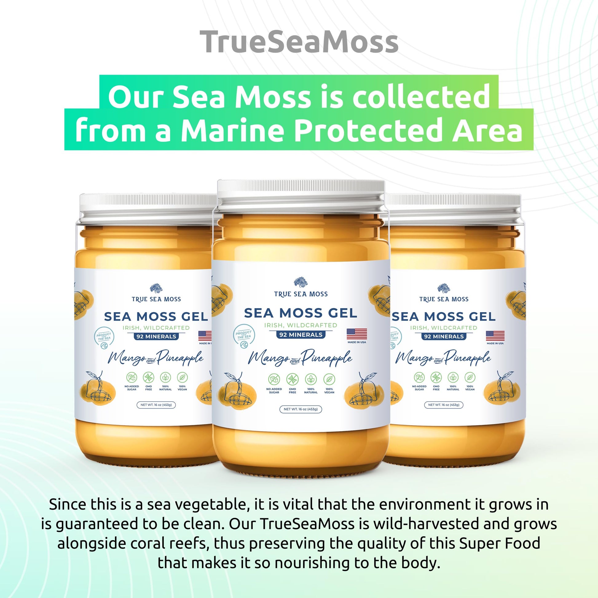 TrueSeaMoss Wildcrafted Irish Sea Moss Gel –7 Flavors- Nutritious Organic Raw TrueSeaMossBuy Supplements Australia