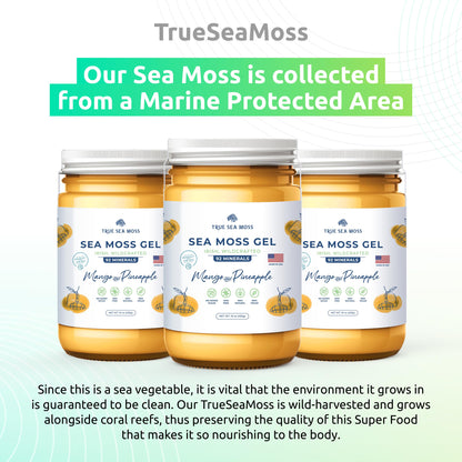 TrueSeaMoss Wildcrafted Irish Sea Moss Gel –7 Flavors- Nutritious Organic Raw TrueSeaMossBuy Supplements Australia