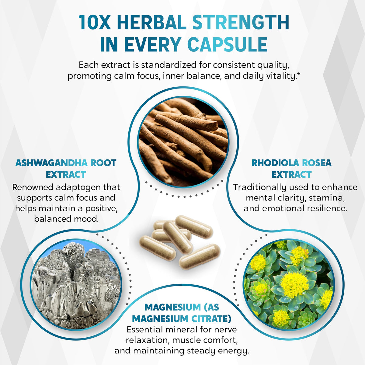 CORTISOL Wellness Ashwagandha 14-in-1 Natural Blend with Phosphatidylserine Magnolia Rhodiola St. John's Wort Peppermint Bacopa - 150 Count NESSARITBuy Supplements Australia