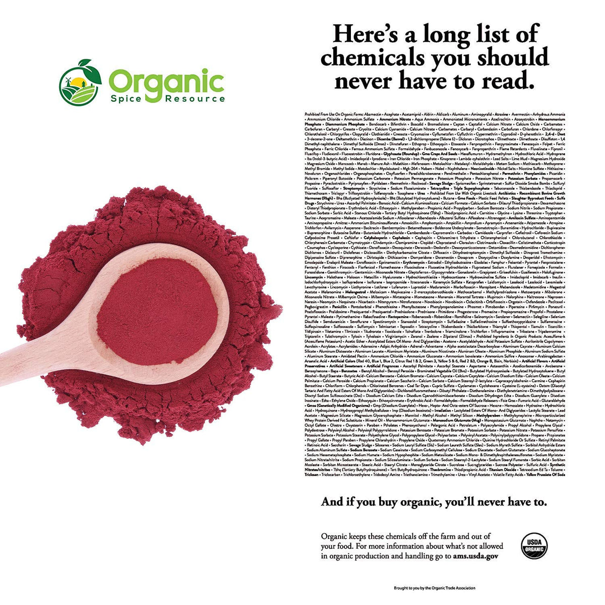 Organic Beet Root Powder | 8 oz or 226g | USDA Organic Approved, Raw and Non GMO Organic Spice ResourceBuy Supplements Australia