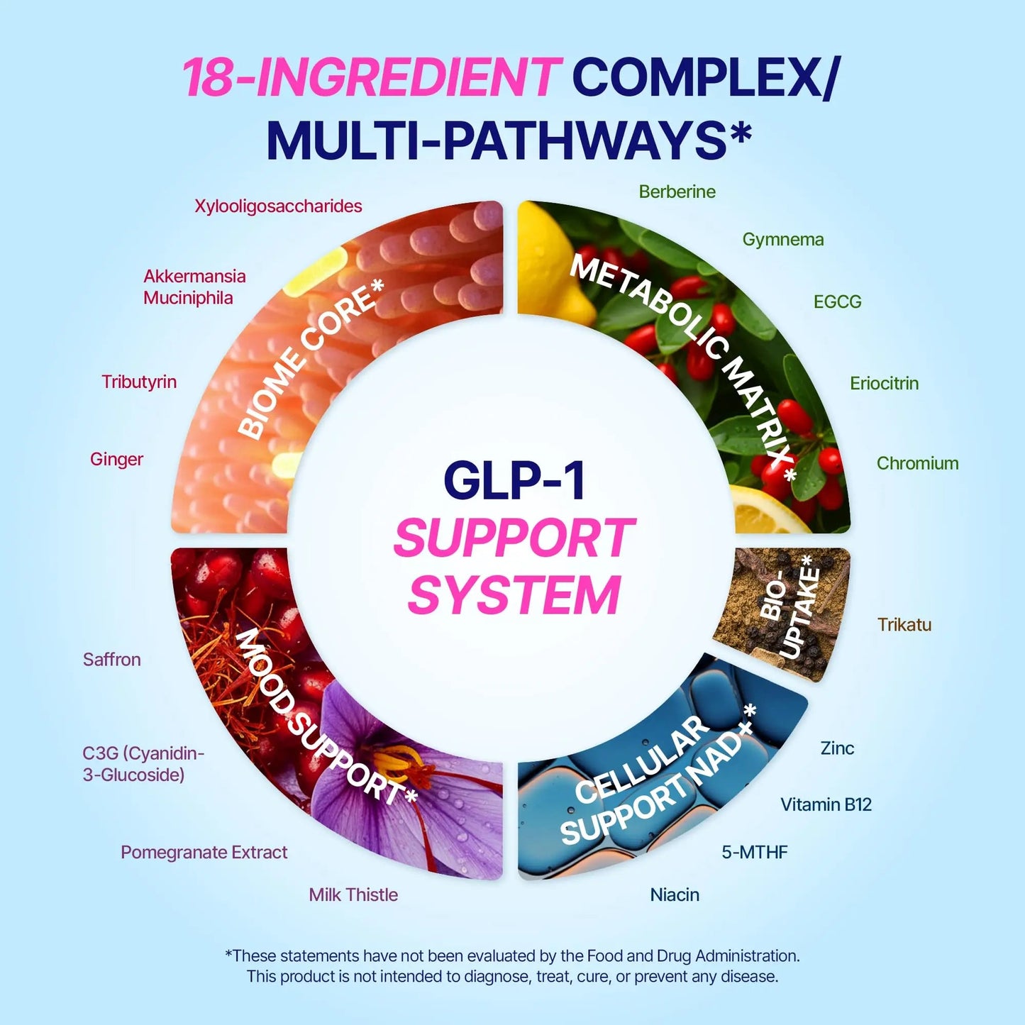 GLP-1 Support – Akkermansia Postbiotic 10B TFU + Berberine HCl 250 mg | 18-Ingredient System | Appetite, Mood & Metabolic Support | Inulin-Free | Saffron, NAD+ Cofactors | 3 Pack | 90-Day Supply ANTROLIFEBuy Supplements Australia