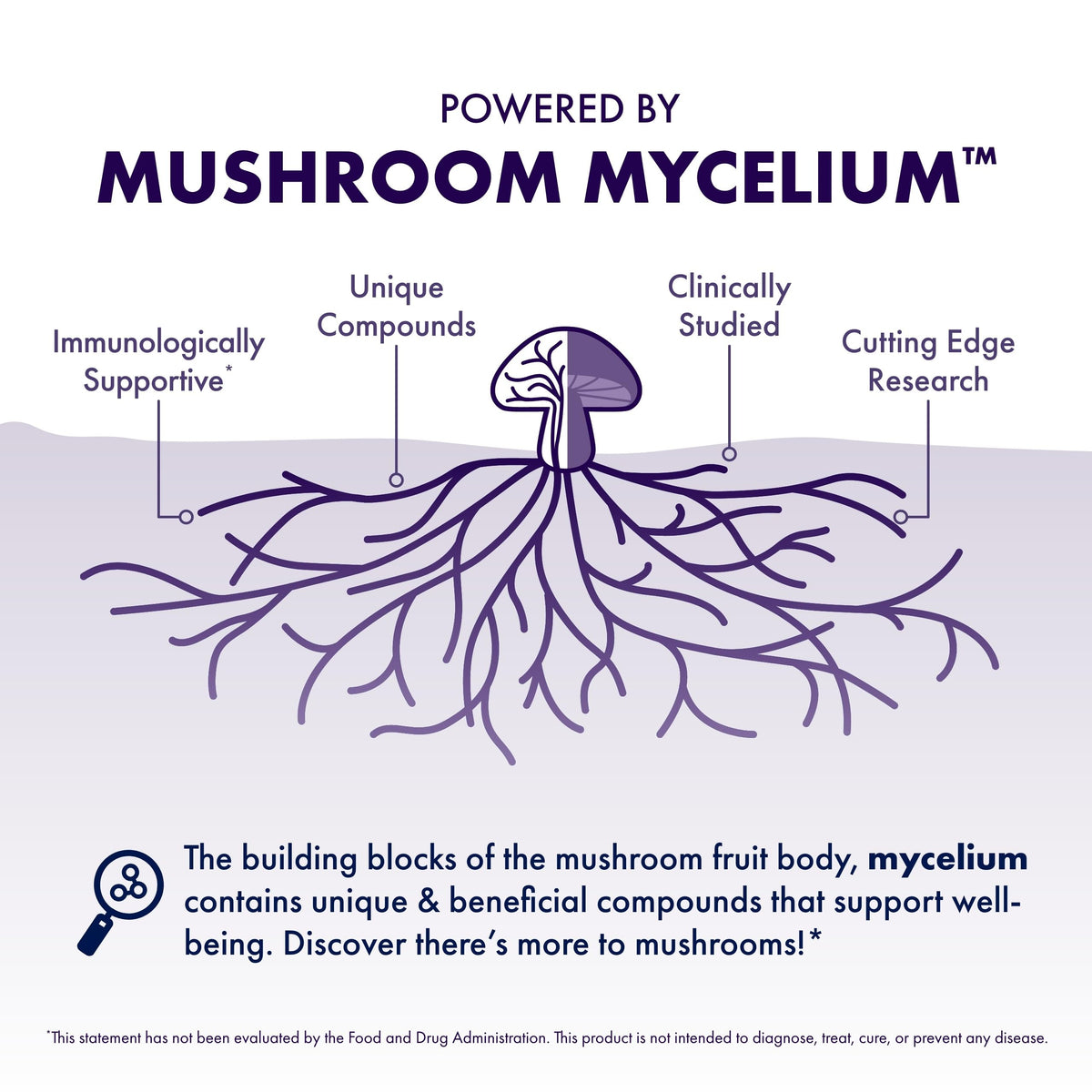 Host Defense Mushrooms Lion's Mane - Supplement Capsules for Brain Health Support - Mushroom Support for Focus & Memory Function