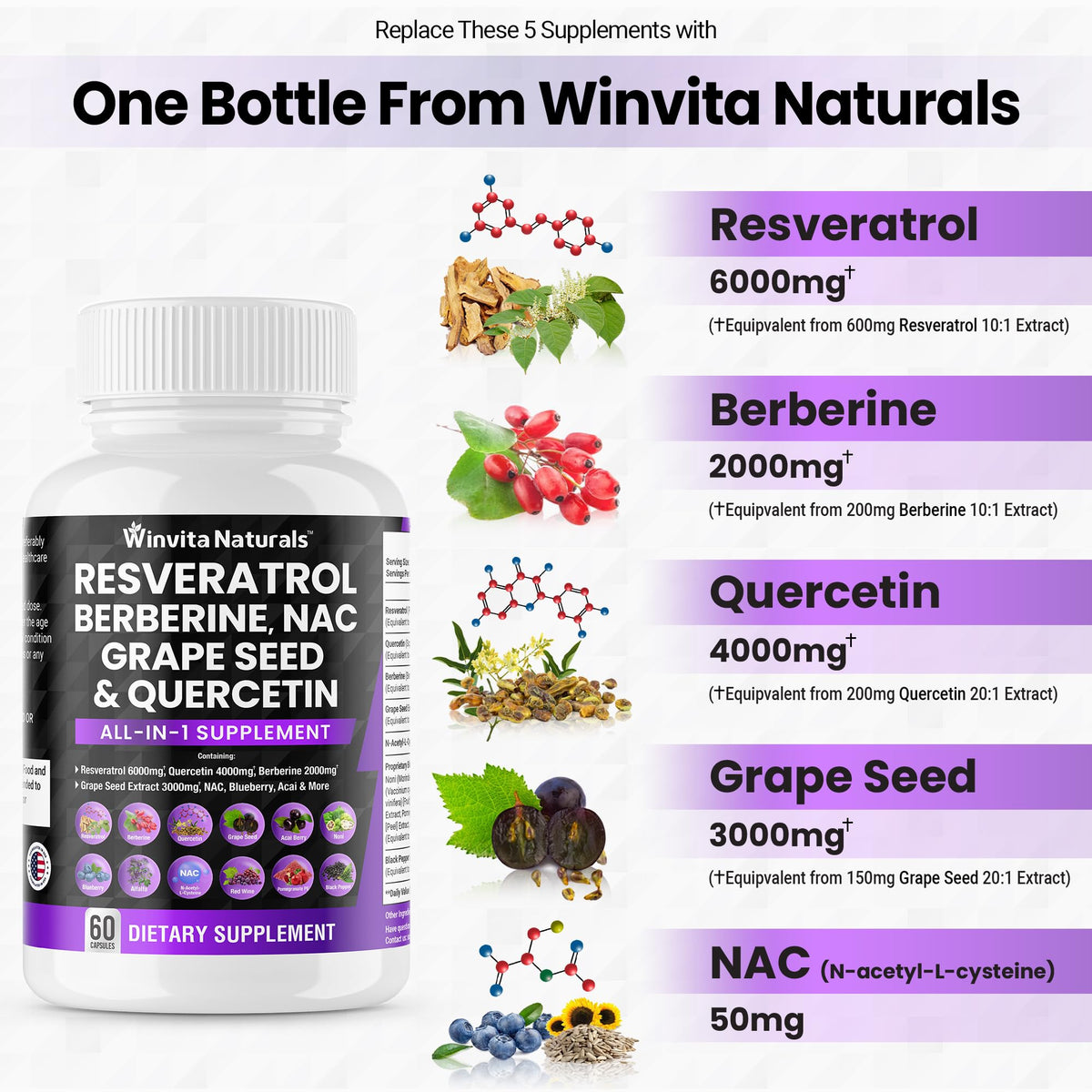 Resveratrol 6000mg Quercetin 4000mg Berberine 2000mg Grape Seed Extract 3000mg Winvita NaturalsBuy Supplements Australia