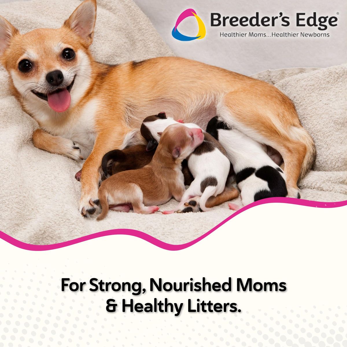Breeder's Edge Oxy Momma Soft Chews, Postnatal Vitamin Supplement for Lactating Dogs and Cats, Supports Recovery, Hormones, and Next Pregnancy - for Small Dogs & Cats, 40ct Soft Chews Revival Animal HealthBuy Supplements Australia