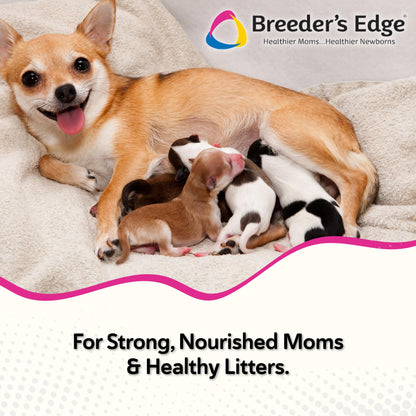 Breeder's Edge Oxy Momma Soft Chews, Postnatal Vitamin Supplement for Lactating Dogs and Cats, Supports Recovery, Hormones, and Next Pregnancy - for Small Dogs & Cats, 40ct Soft Chews Revival Animal HealthBuy Supplements Australia