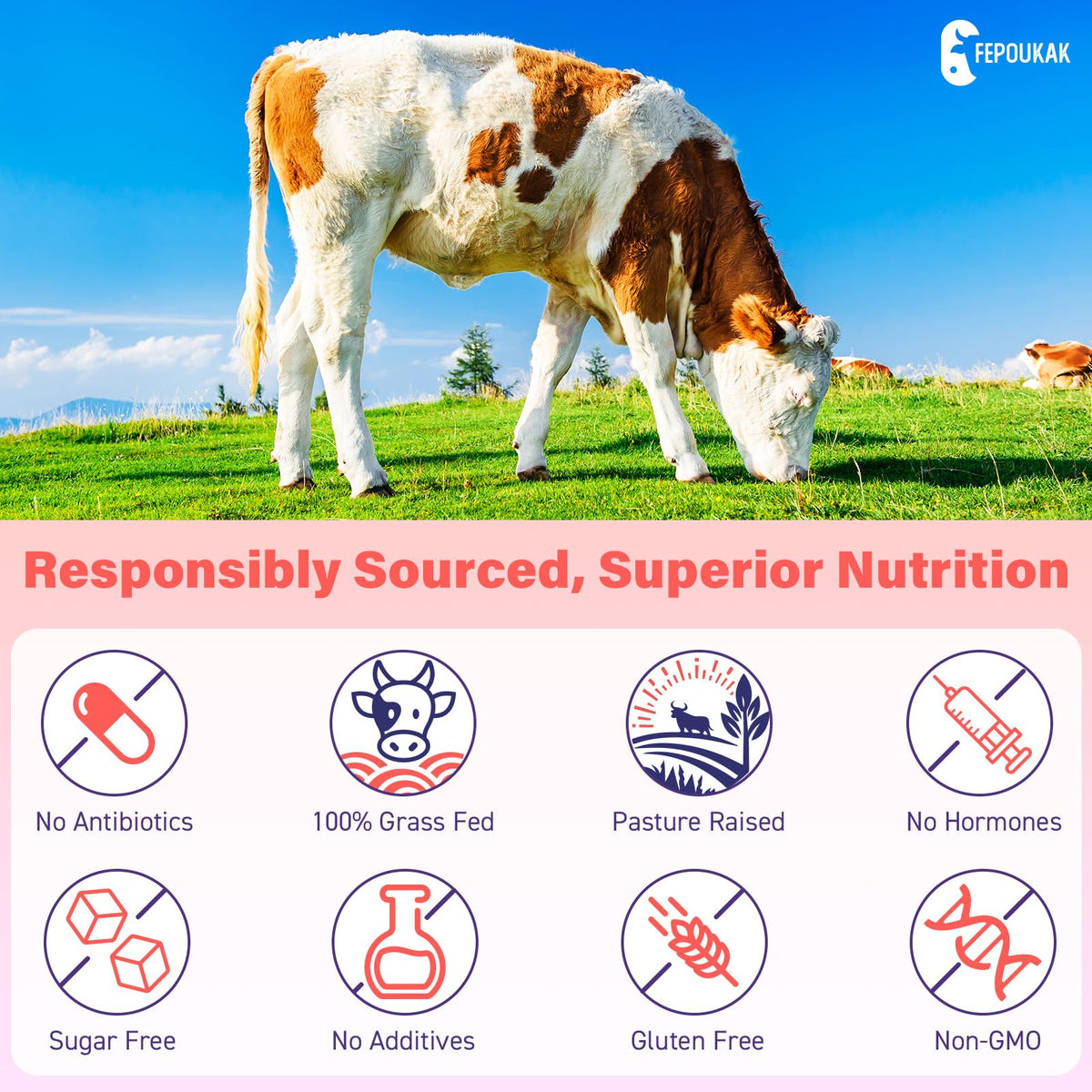 (180 Gummies) Beef Organ Supplement for Women - 5300mg Beef Liver, Kidney, Uterus & 10 More, for Hormone Balance, Menstruation, Energy, Immunity, Gut & Skin Health - 100% Grass Fed & Pasture Raise FepoukakBuy Supplements Australia
