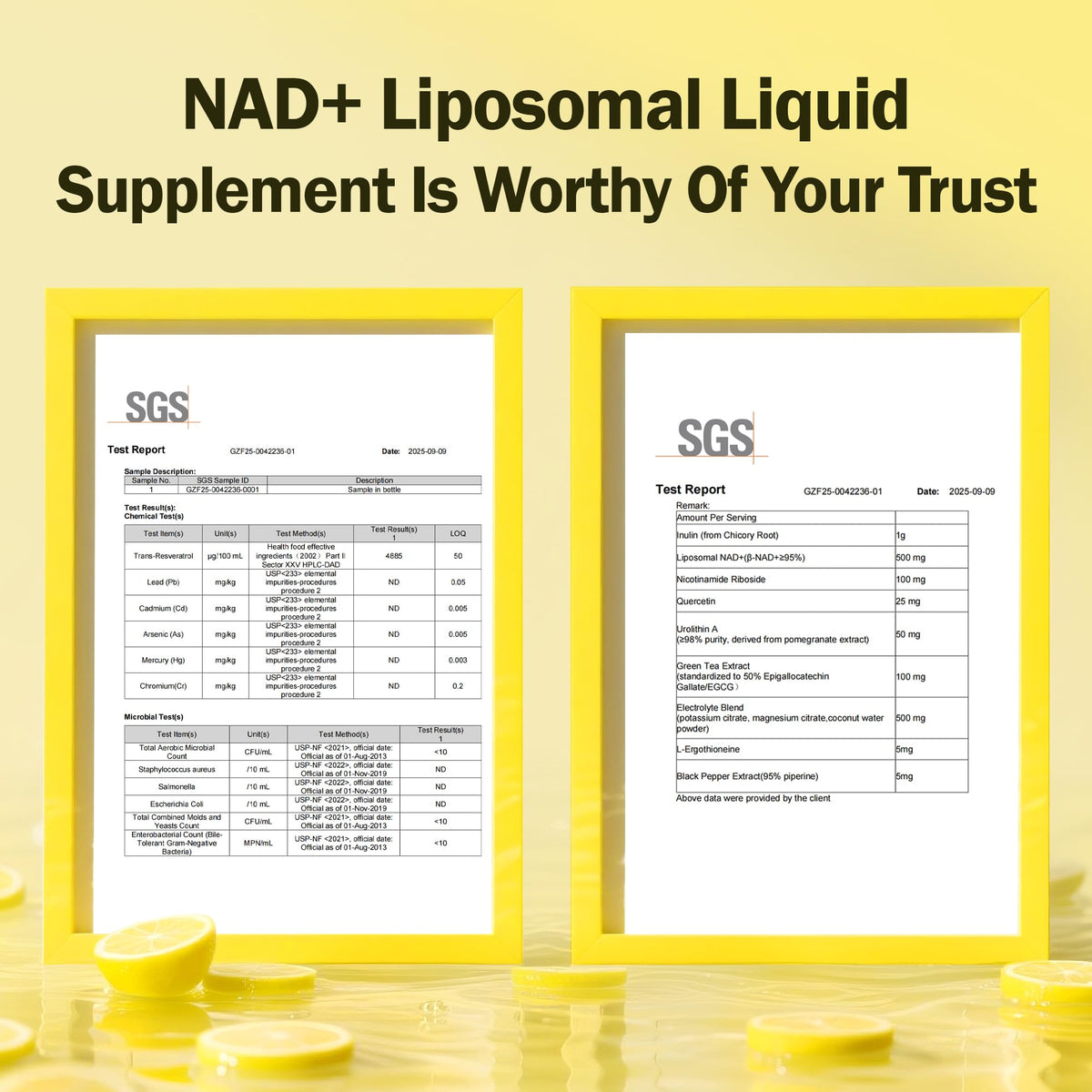 Liposomal NAD+ Liquid Supplement - Designed to Help Support Absorption - Nhanced Cellular Uptake, Helps Support Normal Cellular Health, Supports Cellular Energy Metabolism and Vitality - Lemon Flavor BAKAKOULBuy Supplements Australia
