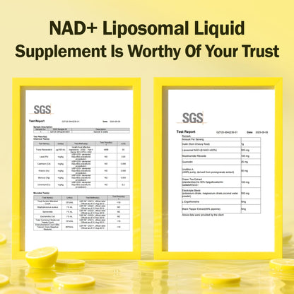 Liposomal NAD+ Liquid Supplement - Designed to Help Support Absorption - Nhanced Cellular Uptake, Helps Support Normal Cellular Health, Supports Cellular Energy Metabolism and Vitality - Lemon Flavor BAKAKOULBuy Supplements Australia