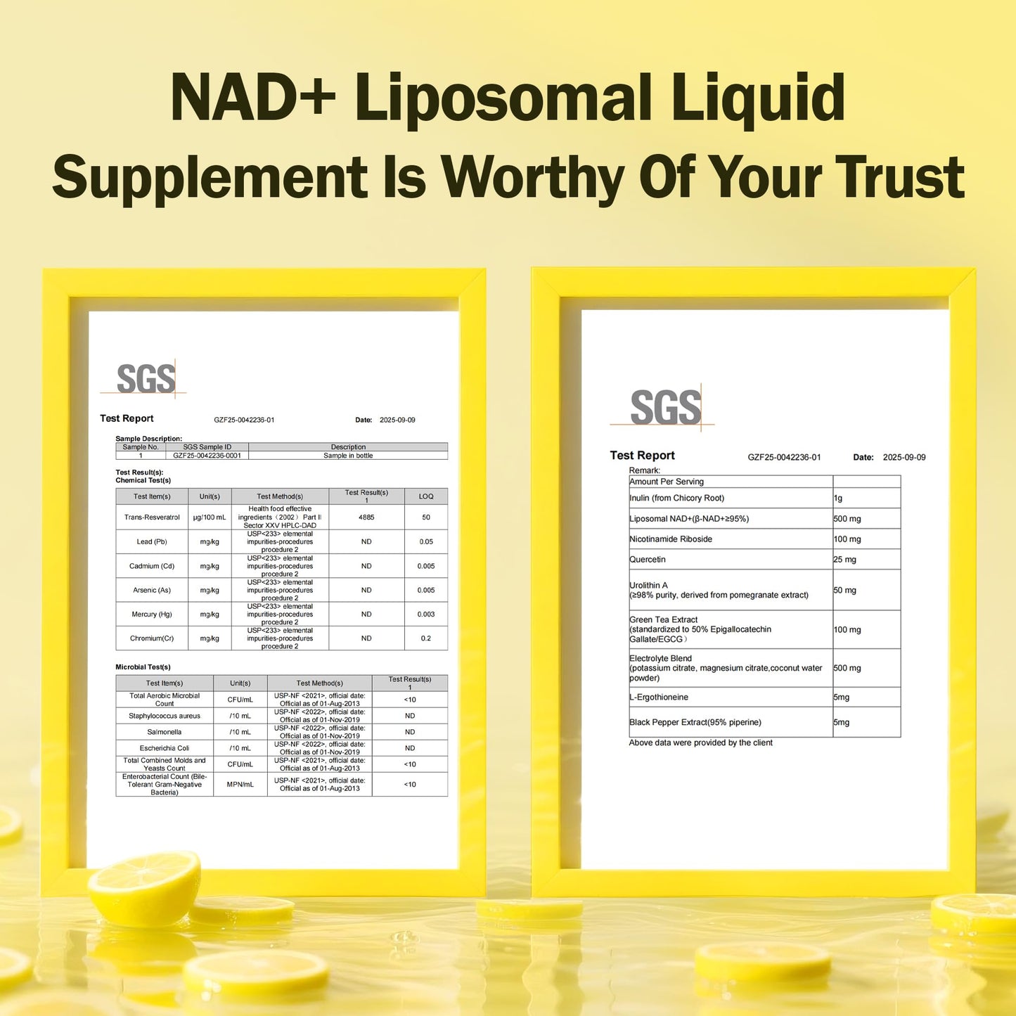 Liposomal NAD+ Liquid Supplement - Designed to Help Support Absorption - Nhanced Cellular Uptake, Helps Support Normal Cellular Health, Supports Cellular Energy Metabolism and Vitality - Lemon Flavor BAKAKOULBuy Supplements Australia