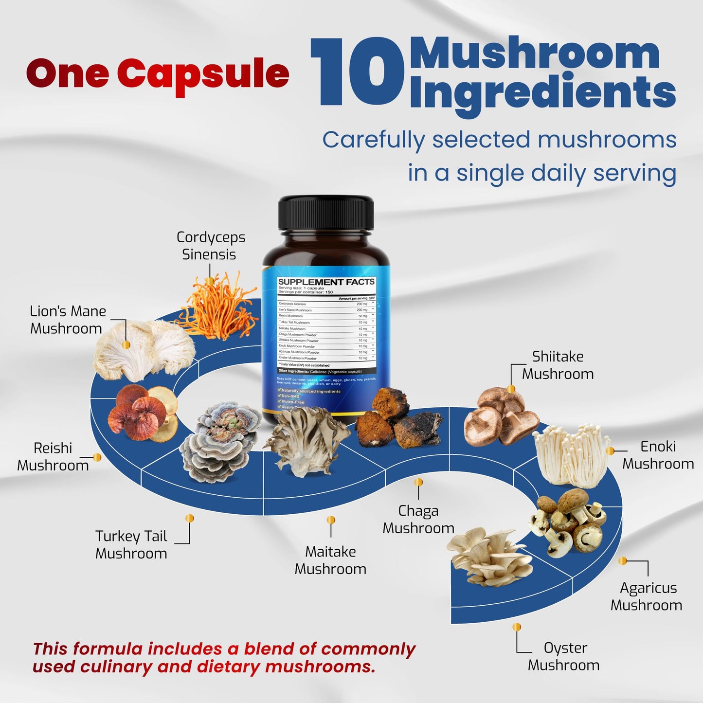 10 in 1 High Strength Mushroom Supplement - Lions Mane, Cordyceps, Reishi - Brain Supplements for Memory and Focus ** 5-Month Supply VEGATOT canada supplements