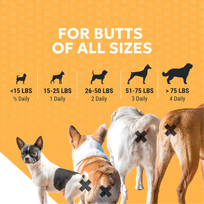 Nutramax Filaquin Anal Gland Supplement for Dogs, from The Same Company as Cosequin & Proviable, with Pre & Postbiotics and Psyllium Husk Fiber to Support Anal Gland Health, 90 Count Soft Chews Nutramax LaboratoriesBuy Supplements Australia