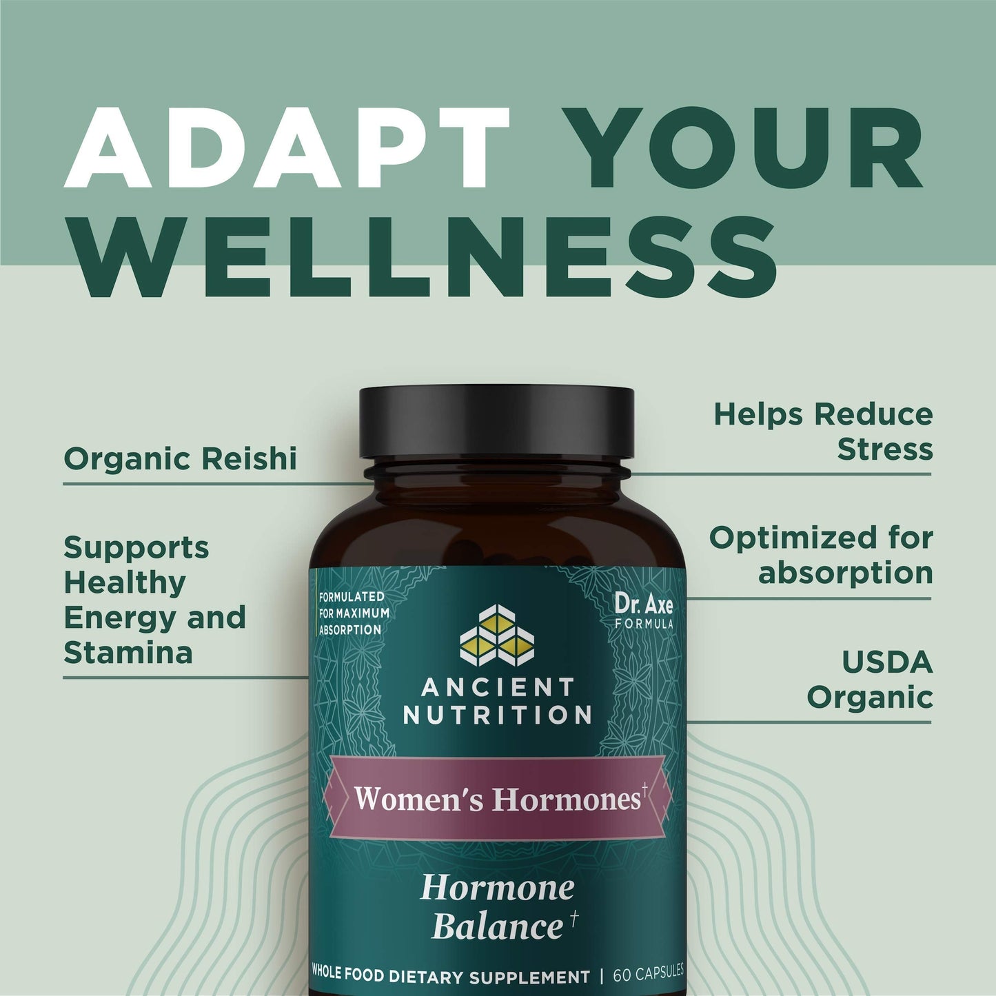 Ancient Nutrition Women's Hormones, Helps Reduce Stress, Supports Energy, Hormone Balance, Gluten Free, Paleo and Keto Friendly, 60 Capsules Ancient NutritionBuy Supplements Australia